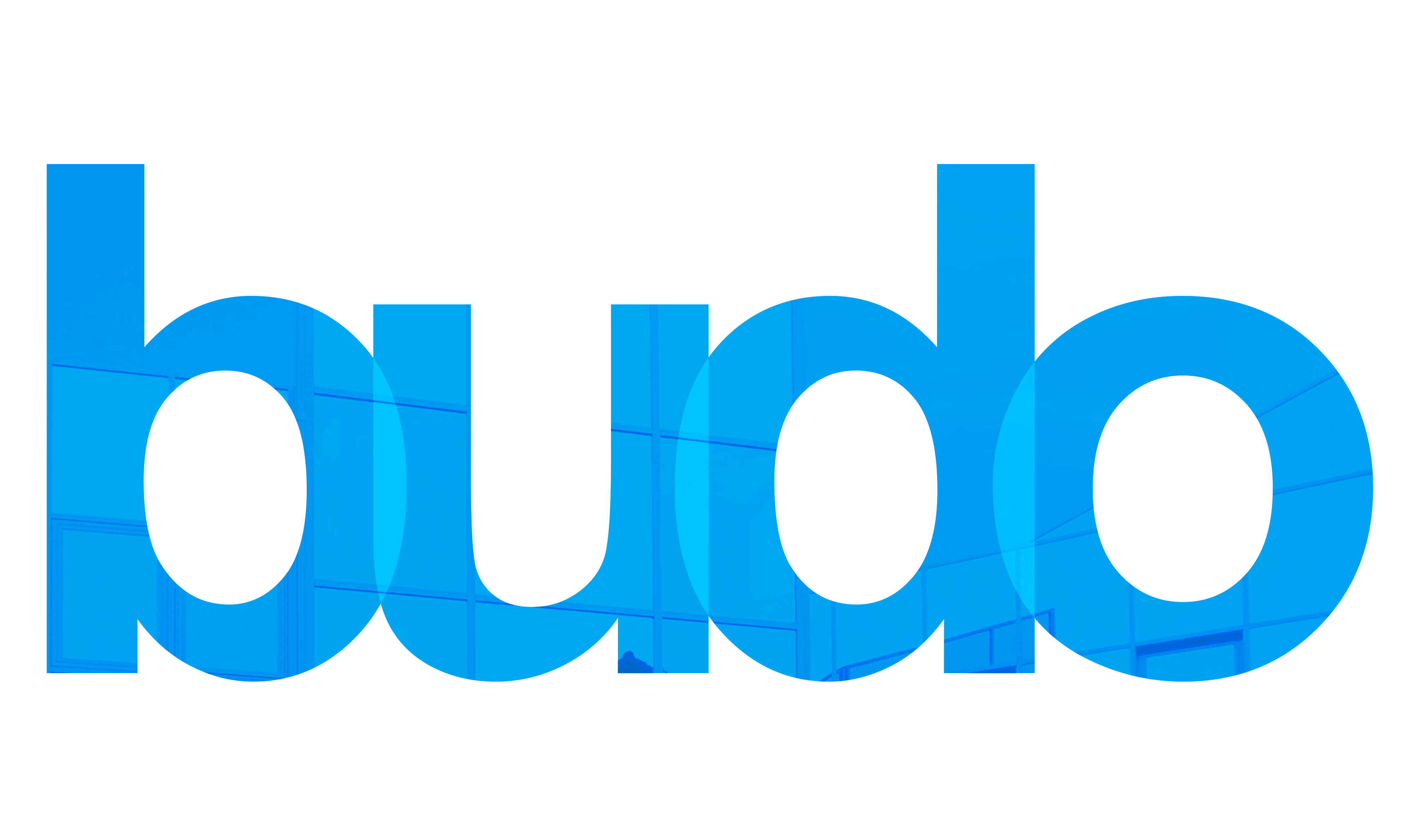 Logo der Firma budo Metallbau